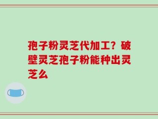 孢子粉灵芝代加工？破壁灵芝孢子粉能种出灵芝么