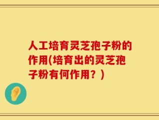 人工培育灵芝孢子粉的作用(培育出的灵芝孢子粉有何作用？)