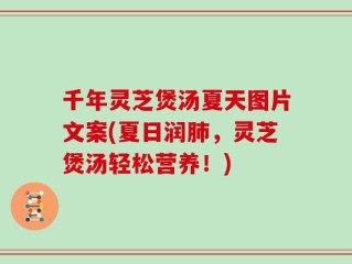 千年灵芝煲汤夏天图片文案(夏日润肺，灵芝煲汤轻松营养！)