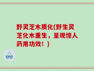 野灵芝木质化(野生灵芝化木重生，呈现惊人药用功效！)
