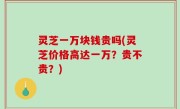 灵芝一万块钱贵吗(灵芝价格高达一万？贵不贵？)