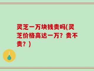 灵芝一万块钱贵吗(灵芝价格高达一万？贵不贵？)