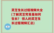 灵芝生长过程视频大全(了解灵芝究竟是如何生长？ 惊人的灵芝生长过程视频汇总)