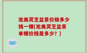 淞美灵芝盆景价格多少钱一棵(淞美灵芝盆景单棵价钱是多少？)