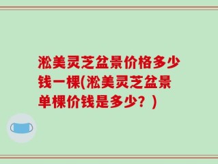 淞美灵芝盆景价格多少钱一棵(淞美灵芝盆景单棵价钱是多少？)