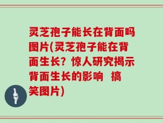 灵芝孢子能长在背面吗图片(灵芝孢子能在背面生长？惊人研究揭示背面生长的影响  搞笑图片)