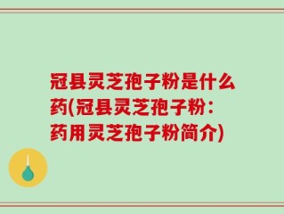 冠县灵芝孢子粉是什么药(冠县灵芝孢子粉：药用灵芝孢子粉简介)