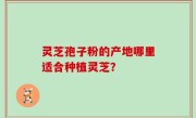 灵芝孢子粉的产地哪里适合种植灵芝？