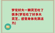 梦见好大一颗灵芝吃了很多(梦见吃了好多大灵芝，感觉身体充满活力)