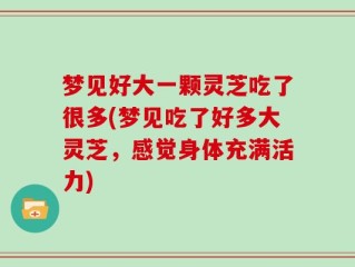 梦见好大一颗灵芝吃了很多(梦见吃了好多大灵芝，感觉身体充满活力)