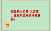 红色的大灵芝(大灵芝：能延年益寿的神奇草药)