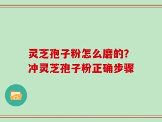 灵芝孢子粉怎么磨的？冲灵芝孢子粉正确步骤