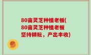 80亩灵芝种植老板(80亩灵芝种植老板 坚持耕耘，产出丰收)