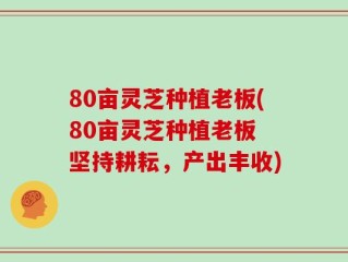 80亩灵芝种植老板(80亩灵芝种植老板 坚持耕耘，产出丰收)