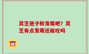 灵芝孢子粉发霉吧？灵芝有点发霉还能吃吗