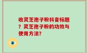 收灵芝孢子粉抖音标题？灵芝孢子粉的功效与使用方法？