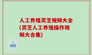 人工养殖灵芝视频大全(灵芝人工养殖操作视频大合集)