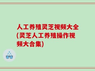 人工养殖灵芝视频大全(灵芝人工养殖操作视频大合集)