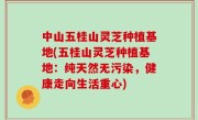 中山五桂山灵芝种植基地(五桂山灵芝种植基地：纯天然无污染，健康走向生活重心)