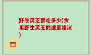 野生灵芝要吃多少(食用野生灵芝的适量建议)
