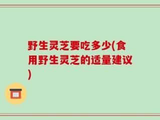 野生灵芝要吃多少(食用野生灵芝的适量建议)