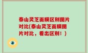 泰山灵芝面膜区别图片对比(泰山灵芝面膜图片对比，看出区别！)
