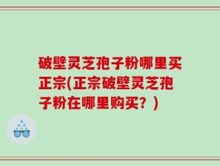 破壁灵芝孢子粉哪里买正宗(正宗破壁灵芝孢子粉在哪里购买？)