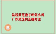 盆栽灵芝孢子粉怎么养？养灵芝的正确方法