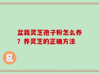 盆栽灵芝孢子粉怎么养？养灵芝的正确方法