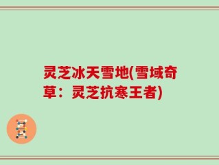 灵芝冰天雪地(雪域奇草：灵芝抗寒王者)