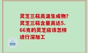 灵芝三萜高温生成物？灵芝三萜含量高达5.66克的灵芝应该怎样进行深加工