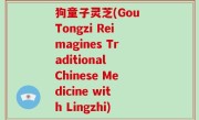 狗童子灵芝(Gou Tongzi Reimagines Traditional Chinese Medicine with Lingzhi)