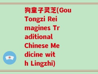 狗童子灵芝(Gou Tongzi Reimagines Traditional Chinese Medicine with Lingzhi)
