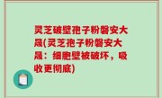 灵芝破壁孢子粉磐安大晟(灵芝孢子粉磐安大晟：细胞壁被破坏，吸收更彻底)