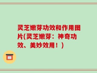 灵芝嫩芽功效和作用图片(灵芝嫩芽：神奇功效、美妙效用！)