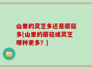 山里的灵芝多还是蘑菇多(山里的蘑菇或灵芝哪种更多？)