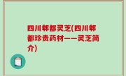 四川郫都灵芝(四川郫都珍贵药材——灵芝简介)