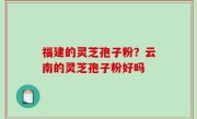 福建的灵芝孢子粉？云南的灵芝孢子粉好吗