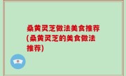 桑黄灵芝做法美食推荐(桑黄灵芝的美食做法推荐)