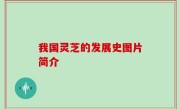 我国灵芝的发展史图片简介