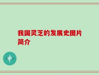我国灵芝的发展史图片简介