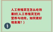 人工养殖灵芝怎么吃效果好(人工养殖灵芝的营养与功效，如何更好地食用？)
