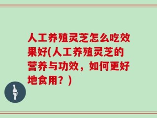 人工养殖灵芝怎么吃效果好(人工养殖灵芝的营养与功效，如何更好地食用？)