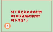 林下灵芝怎么浇水好养呢(如何正确浇水养好林下灵芝？)