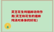 灵芝花生炖猪蹄功效作用(灵芝和花生的猪蹄炖汤对身体的好处)