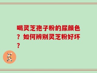 喝灵芝孢子粉的尿颜色？如何辨别灵芝粉好坏？