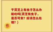 干灵芝上有虫子怎么办能吃吗(灵芝有虫子，是否可食？应该怎么处理？)