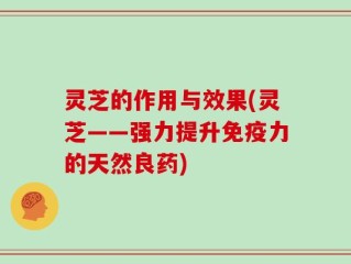 灵芝的作用与效果(灵芝——强力提升免疫力的天然良药)