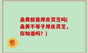 桑黄就是厚皮灵芝吗(桑黄不等于厚皮灵芝，你知道吗？)