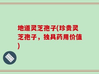 地道灵芝孢子(珍贵灵芝孢子，独具药用价值)
